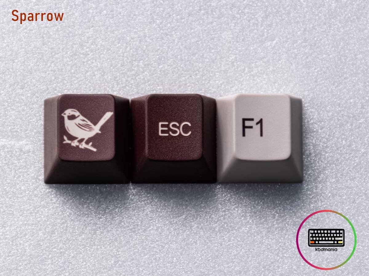 Muestra real de los colores del set sparrow